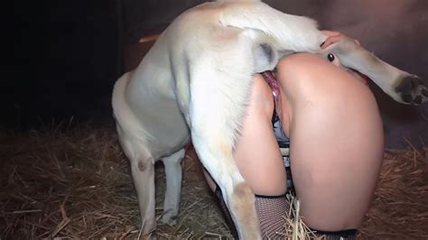 Pussy Of Xxx Whore Will Be Creampied After White Dog