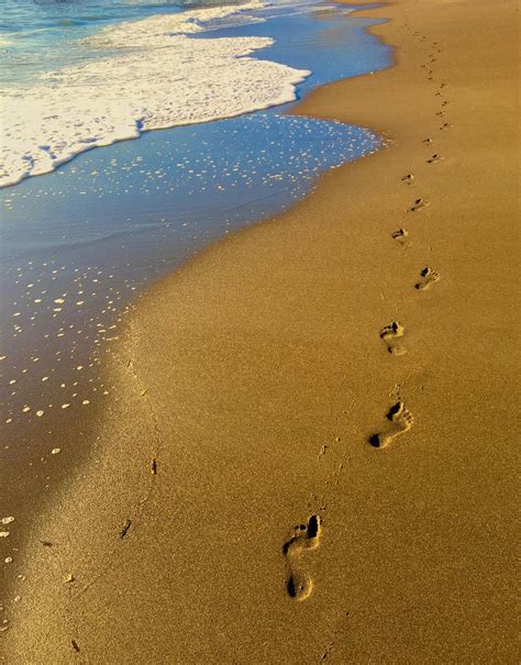 Footprints On Beach · Free Stock Photo