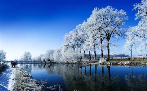 1177355 Sunlight Landscape Snow Winter Ice Morning Frost