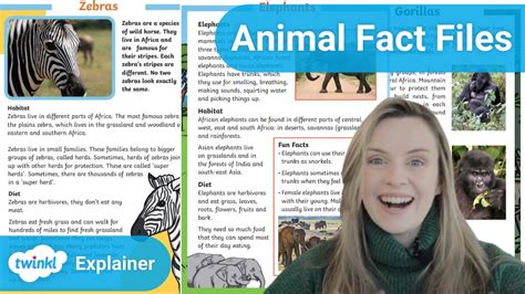 Top 117 How To Write A Fact File About Animals