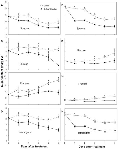 Effect Of Girdling Plus Defoliation On The Concentrations Of Sucrose