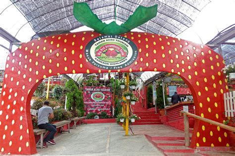 27 Tempat Menarik Di Cameron Highland 2018 Panduan Lengkap