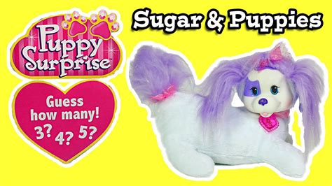 Puppy Surprise 2 Sugar And Puppies How Many Youtube
