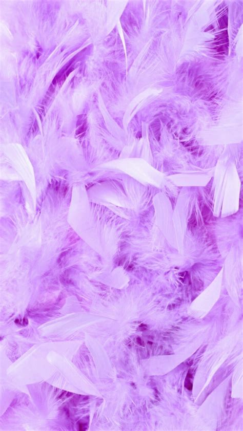 Lavender Aesthetic Pictures Wallpapers Wallpaper Cave