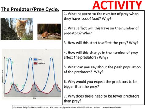 Worksheet Activity Predator Prey Cycles Effects On The Environment