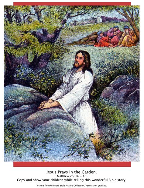 Bible Story Pictures Jesus In The Garden Of Gethsemane The Scripture