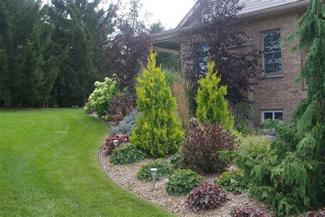 Choosing The Best Landscaping Plants Dwarf Trees For Landscaping