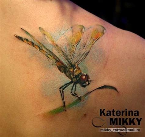 Ne pas confondre avec libelle → libelle. Die zerbrechlichen Libellen | Libellen tattoos, Libelle ...