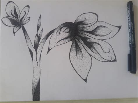 Gambar Pointilis Bunga Tumbuh Tumbuhan