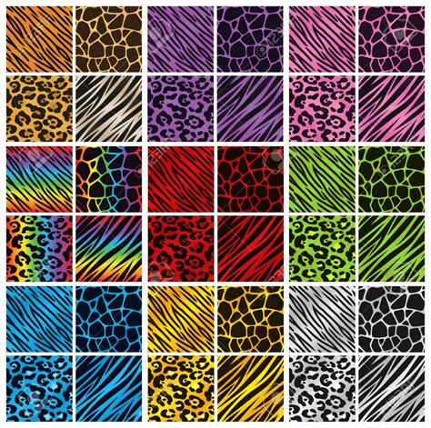 Collection Of 36 Different Animal Print Backgrounds In Various Colors