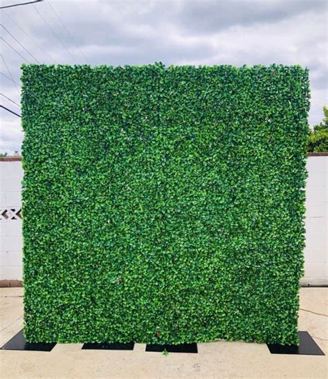 Boxwood Backdrop Rent Only Artificial Greenery Backdrop For Rent