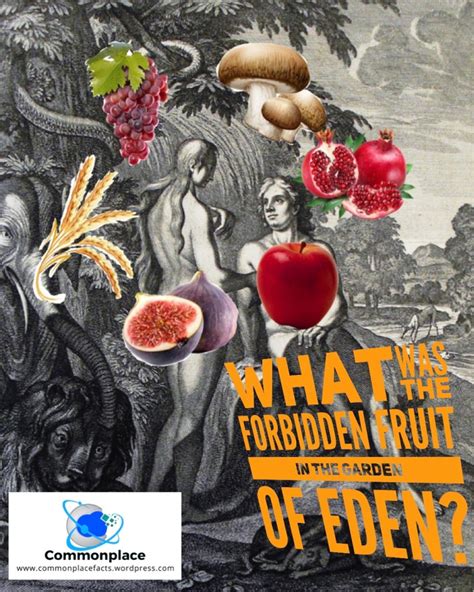 What Was The Forbidden Fruit In The Garden Of Eden Commonplace Fun Facts