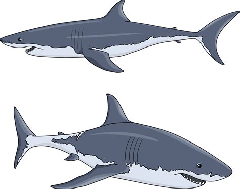 Bull Shark Cartoon