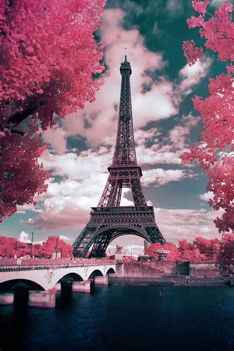 Eiffel Tower And Pink Flowers Eyfel Kulesi Manzara Manzara Resimleri