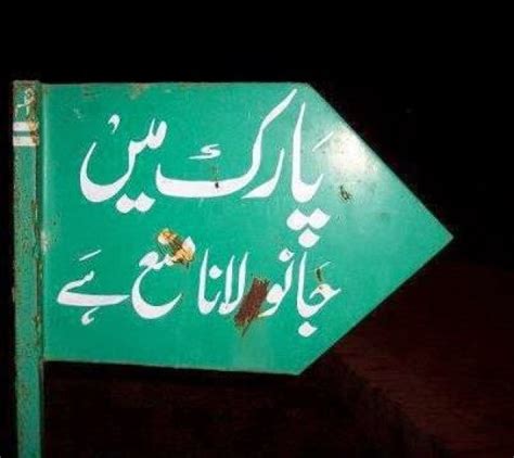 hilarious urdu signs the desi wonder woman