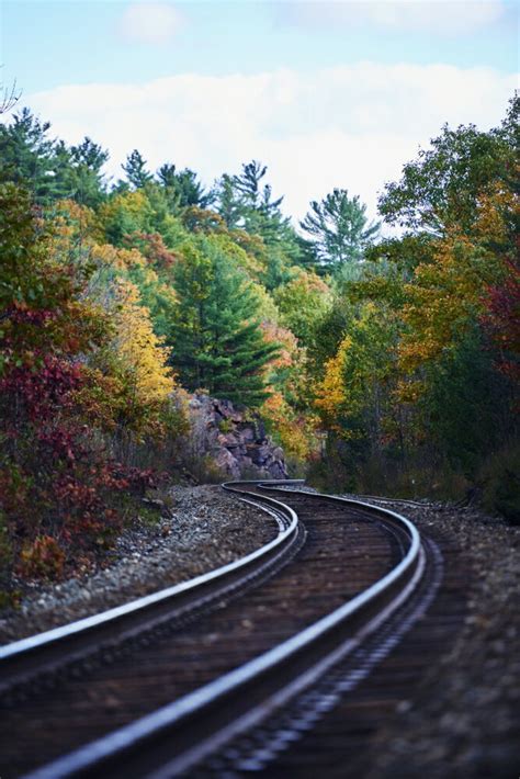 Posterazzi Railroad Tracks Through An Autumn Coloured Forest Ontario