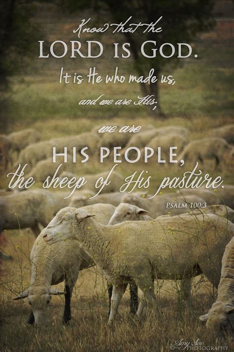 Scripture Picture Psalm We Are His People The Sheep From His Pasture From