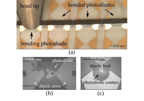 One Dimensional Photodiode Integration A White Light Image Showing