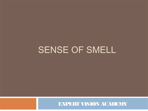 Sense Of Smell Ppt