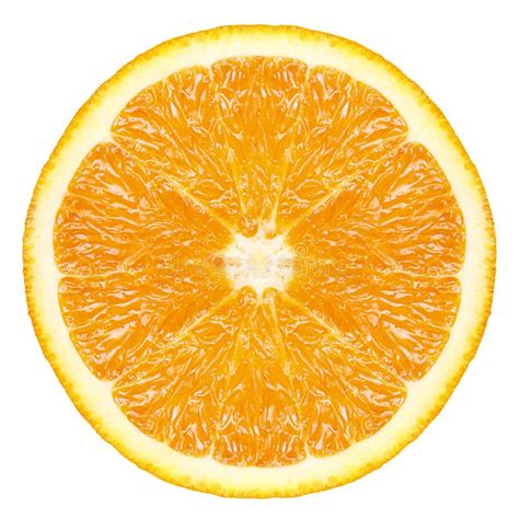 Slice Of Orange Citrus Fruit Isolated On White Stock Image Image Of