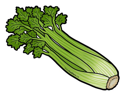Vegetables Celery Coloring Pages - Belinda Berube's Coloring Pages