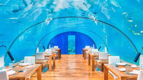 Maldives Underwater Restaurants 7 Spectacular Choices