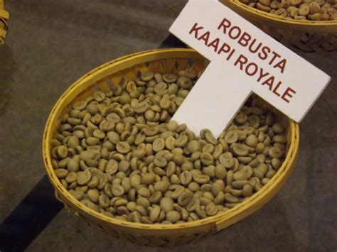 What Are Robusta Coffee Beans Is Robusta Coffee Even Good
