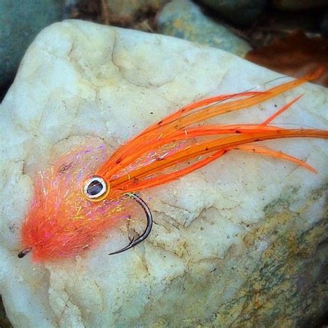 Stadium, arena & sports venue. Orange Squid | Fish, Fly fishing flies pattern, Homemade ...