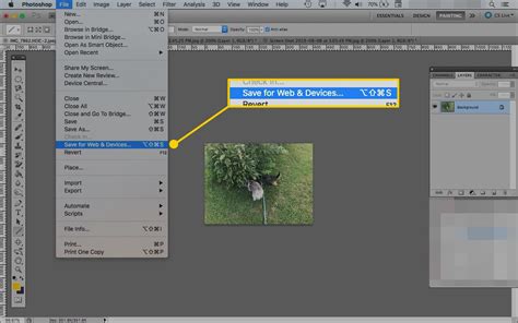 How To Use The Adobe Photoshop Tools
