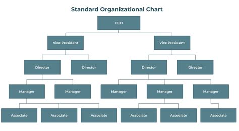 Milostiv Adevăr Higgins Business Organizational Chart Interventie