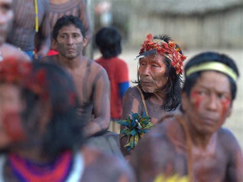 Amazon Watch Victory For Indigenous Rights In Brazil As Mining License Revoked