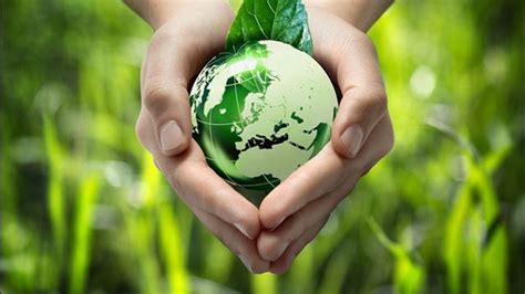 World Environment Day 2019 Proven Ways To Save Environment And Money