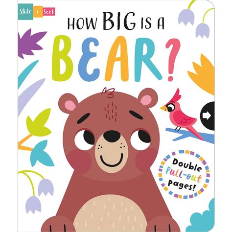 How Big Is A Bear By Lisa Regan Big W