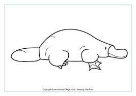 Jump like a kangaroo, snap like a crocodile! australian animal outlines - Google Search | Coloring ...