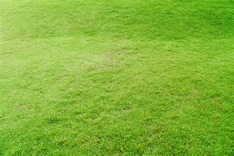 Green Grass Background Texture The Element Of Design Topdown Grass Garden Ideal Concept Used For