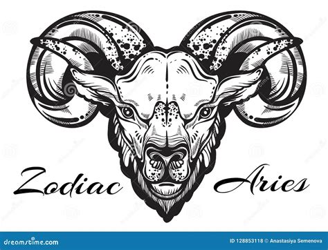 Hand Drawn Beautiful Artwork Of A Ram High Detailed Linear Style Art