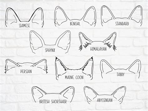 Cat Ears Outline Drawing Svg Bundle With 10 Breeds Etsy
