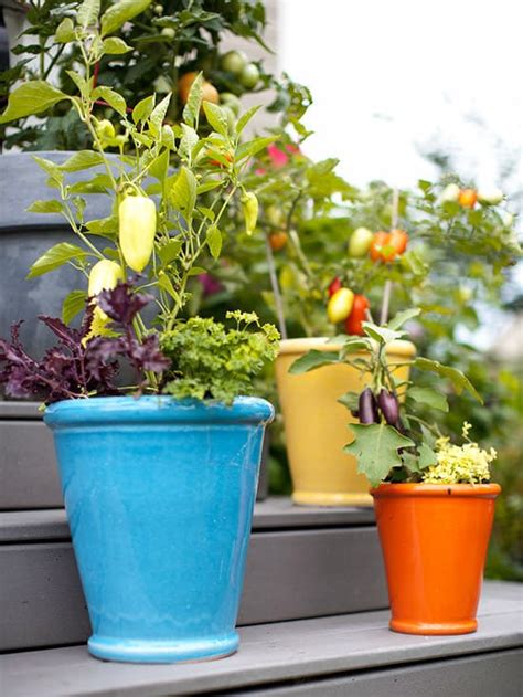 How To Make Kitchen Garden In Pots Container Kitchen Garden