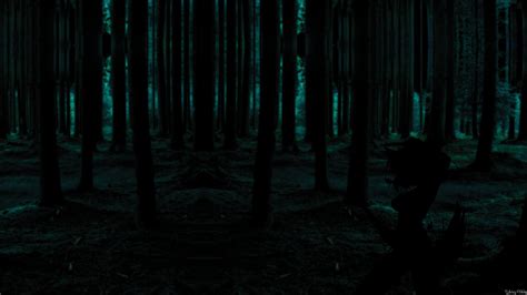 Dark Forest Hd Wallpapers Wallpaper Cave