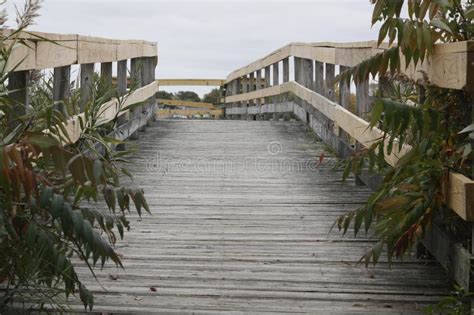 Bridge Into Stock Photo Image Of Marsh Isle Massassuttess 63080974