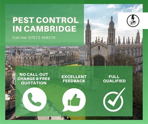 Local Pest Control In Cambridge Eraserpest Cambridge Essex Suffolk