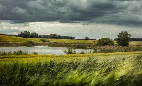 Gdzie piękno przyrody zapiera dech w piersiach. mojebory: Bory Tucholskie fields