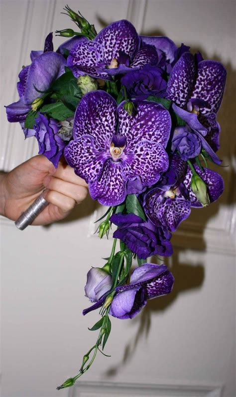 Heather Hartley August 2010 Purple Orchid Bouquet Purple Bouquets
