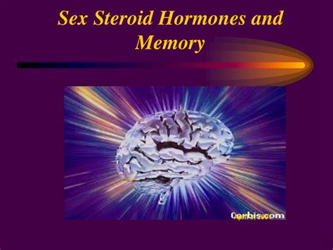 Ppt Sex Steroid Hormones And Memory Powerpoint Presentation Free Download Id768371