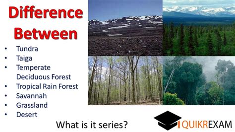 Difference Between Tundra Taiga Temperate Tropical Rain Forest Savannah