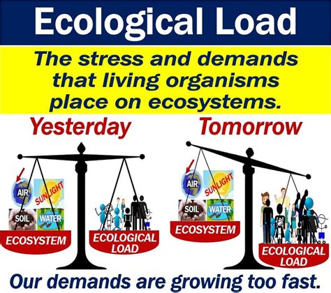 What Is Ecological Load Definition And Examples Market Business News