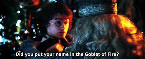 When Dumbledore Asked Me Did You Put Your Name In The Goblet Of Fire