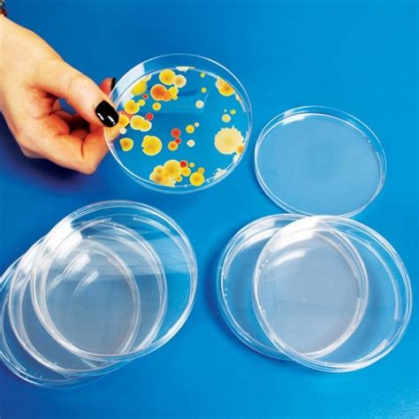 Petri Dishes Science From Early Years Resources Uk