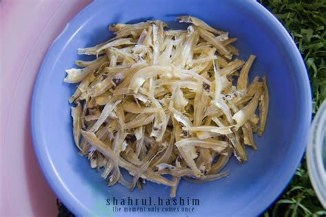 Maybe you would like to learn more about one of these? shahrul.hashim: ... ReSePi SaMbAl DaUn KayU ...