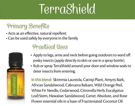 Doterra Terrashield Outdoor Blend Uses And Benefits Best Essential Oils
